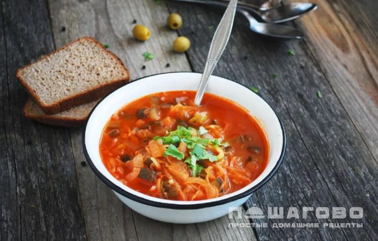 Домашняя солянка с мясным ассорти русская