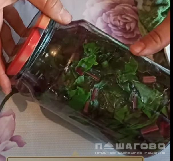 Маринованный мангольд на зиму