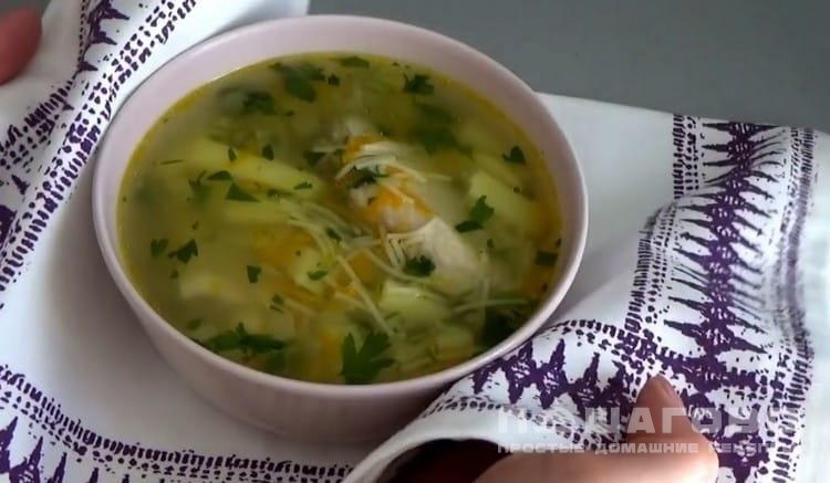 Куриный суп с вермишелью и картошкой