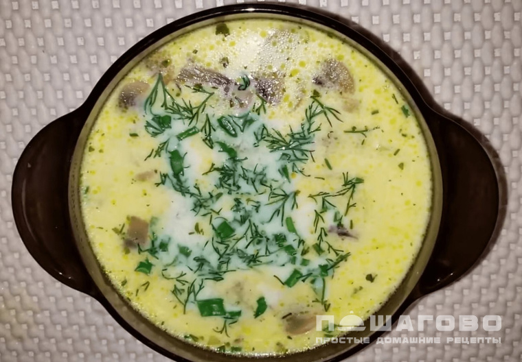 Сырный суп по-французски с курицей и грибами