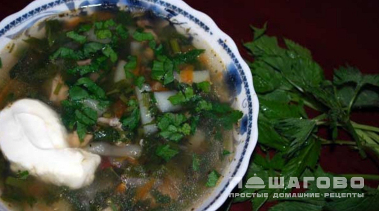 Щи из сныти с курочкой