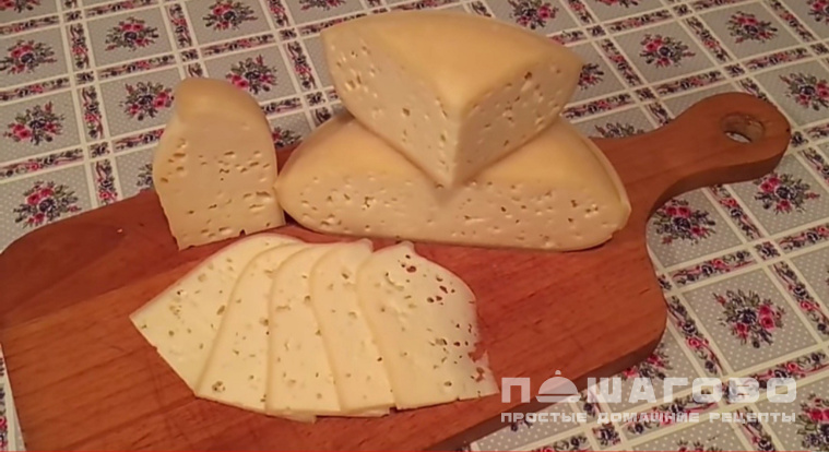 Домашний козий сыр