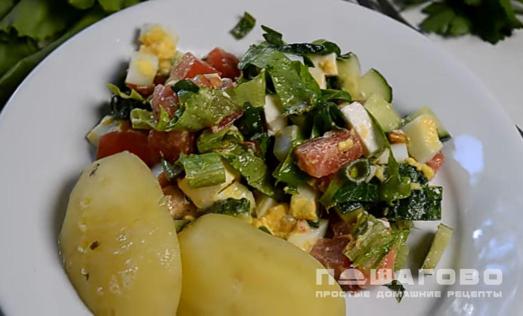 Свежий зеленый салат с курицей, овощами и сыром
