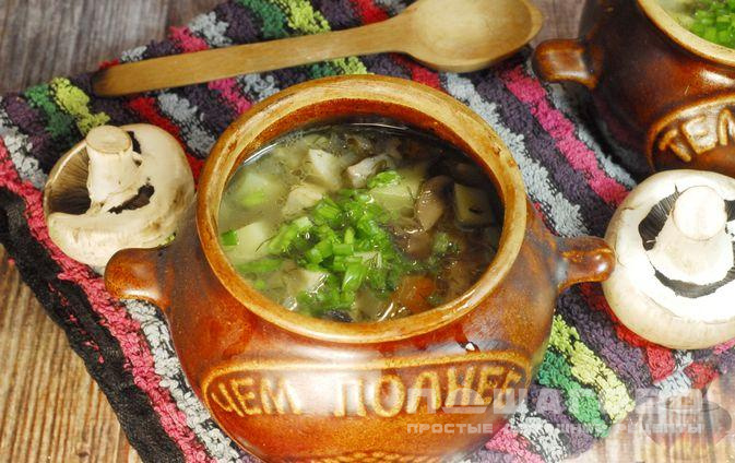 Грибной суп с сельдереем (в горшочках)