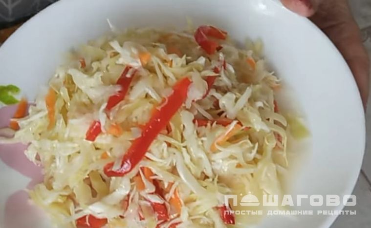 Капуста быстрого посола