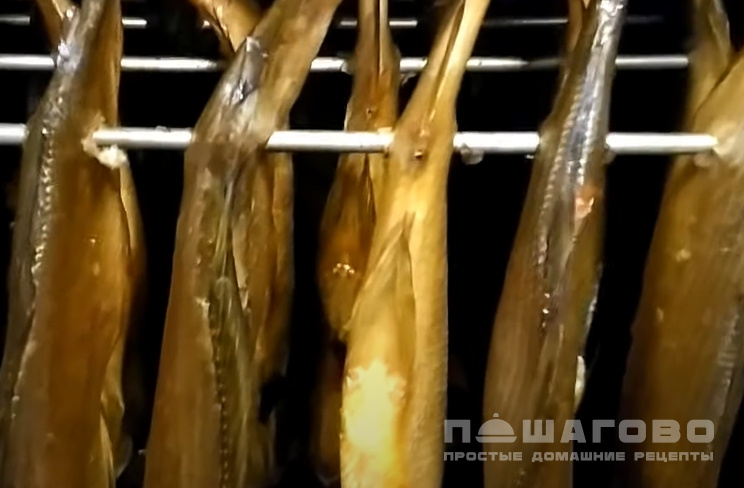Хариус холодного копчения