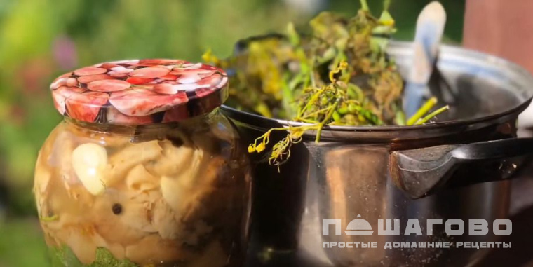 Солёные волнушки (на зиму)