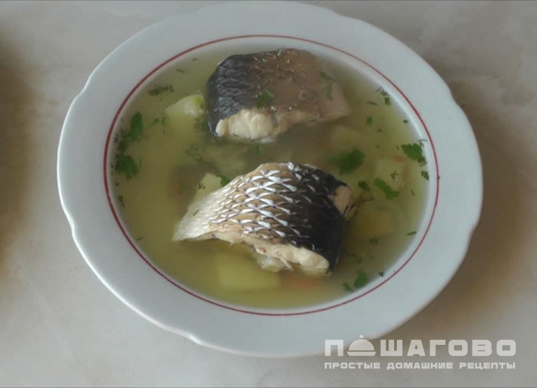 Уха из кефали
