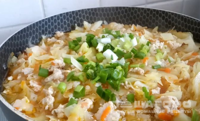 Бигус из свежей капусты с фаршем
