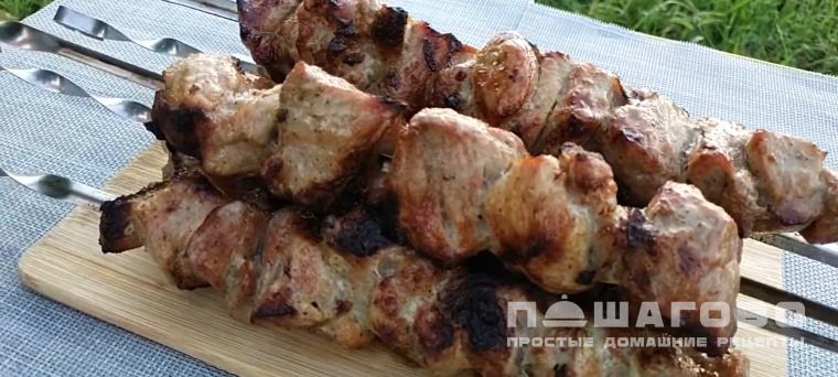 Шашлык на пиве
