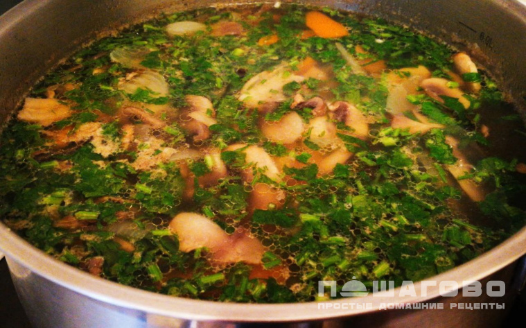 Куриный суп с грибами шампиньонами и зеленью