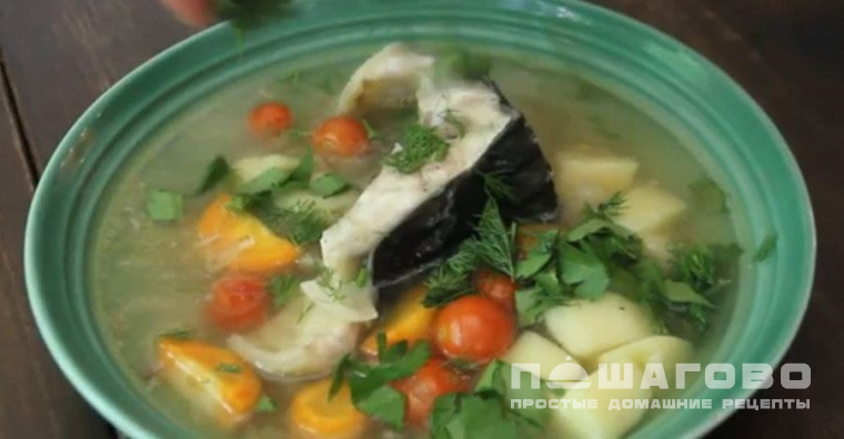 Уха из осетра с овощами