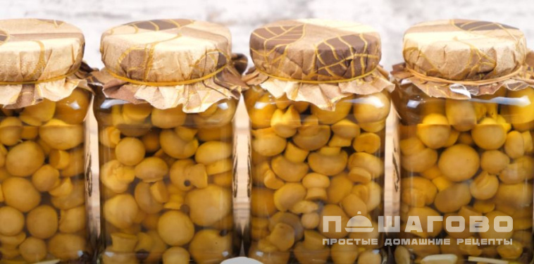 Грибы маринованные