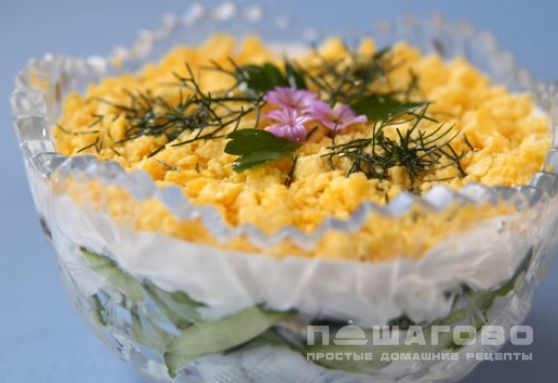 Легкий салат с курицей, огурцом и черносливом
