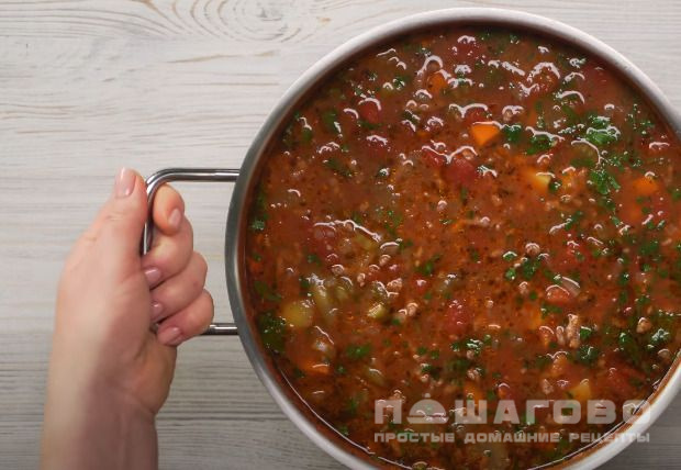 Простой мясной суп с приправой из томатов и чеснока