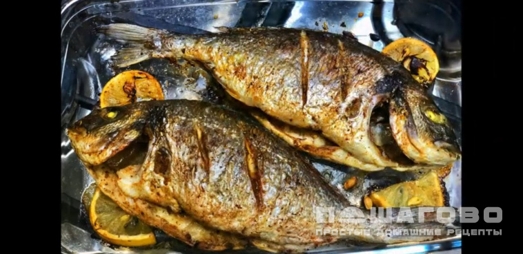 Запеченная дорада с лимоном и ароматными травами