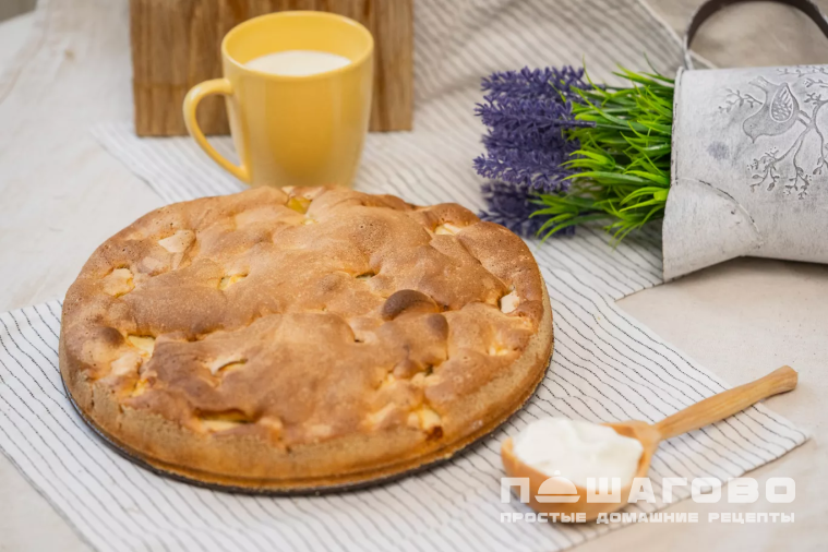 Шарлотка пышная