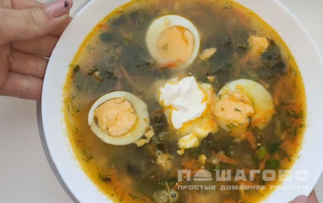 Суп щавелевый с яйцом и курицей