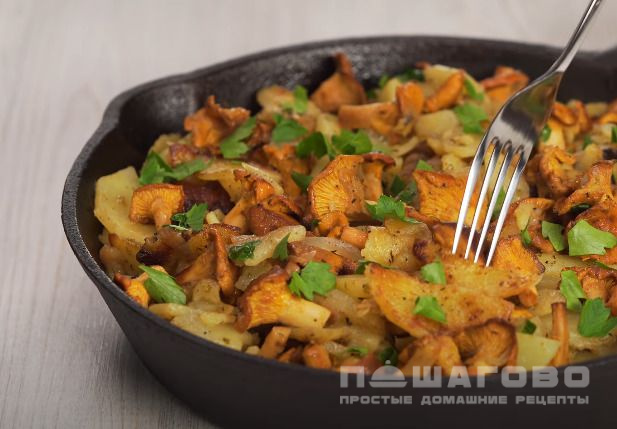 Жаркое с грибами лисичками