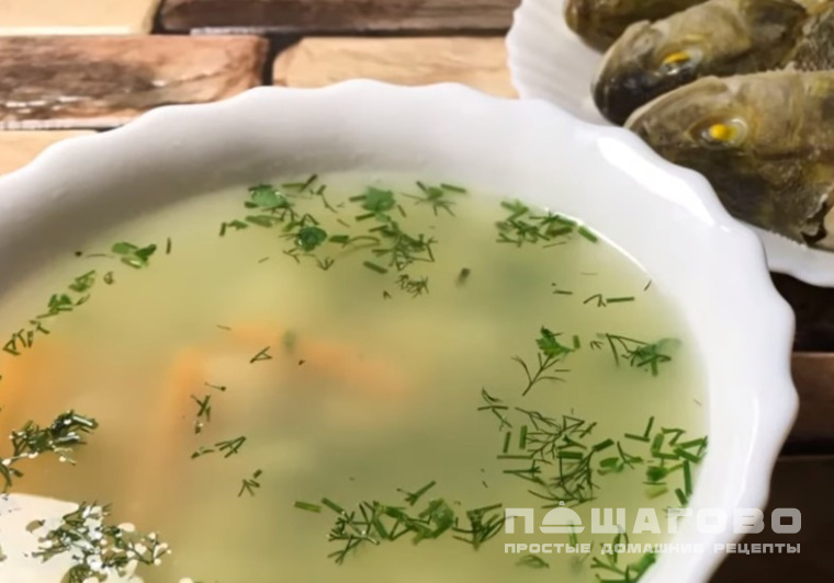 Уха из свежей речной рыбы