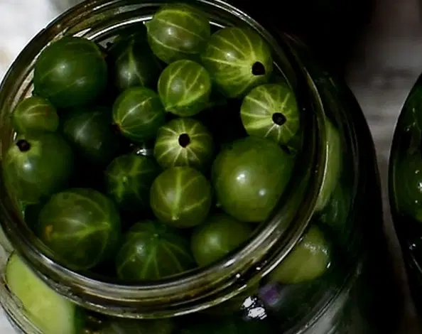 Маринованные огурчики с крыжовником — шаг 1