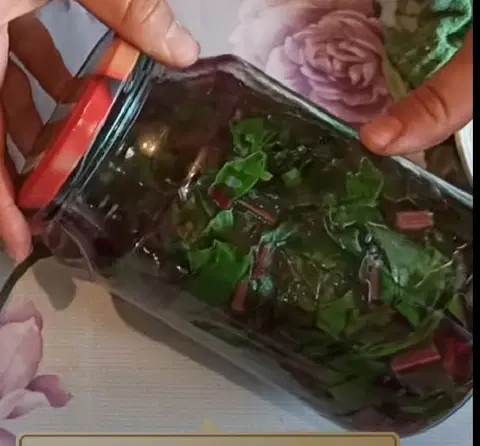 Маринованный мангольд на зиму