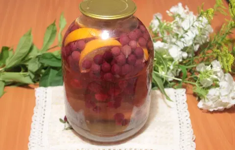 Компот из крыжовника с инжиром