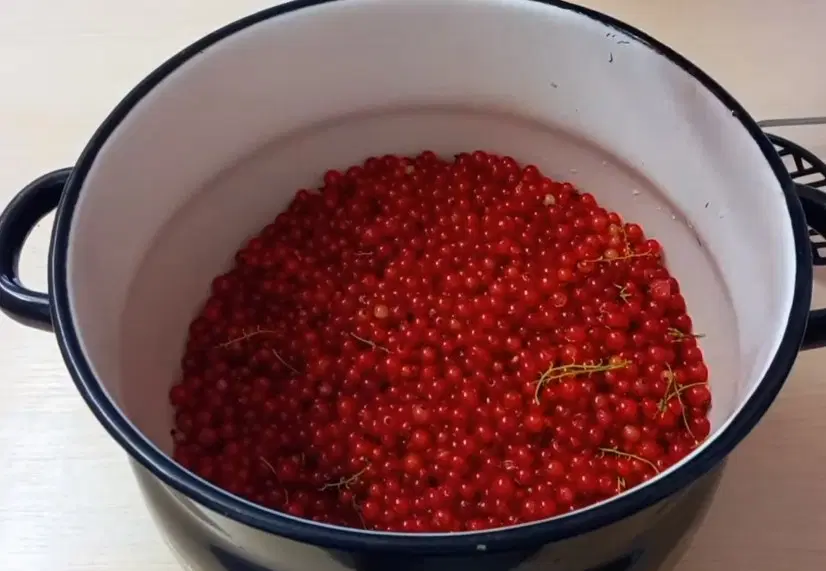 Конфитюр из красной смородины — шаг 1