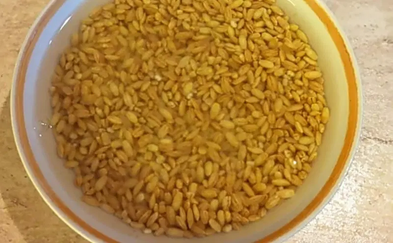 Уха с перловкой — шаг 1