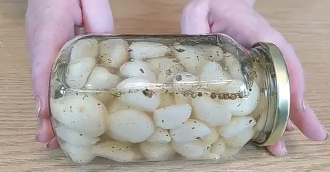 Нежный маринованный чеснок