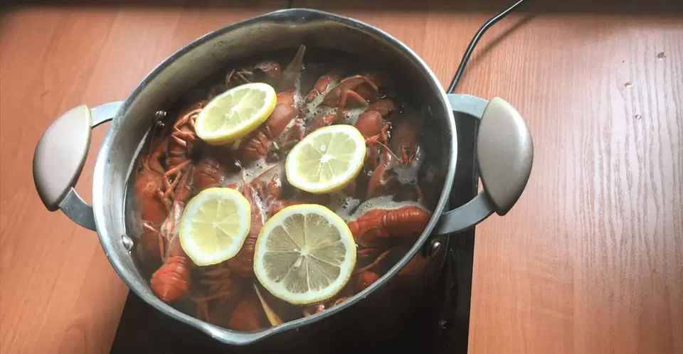 Вареные раки с укропом — шаг 3