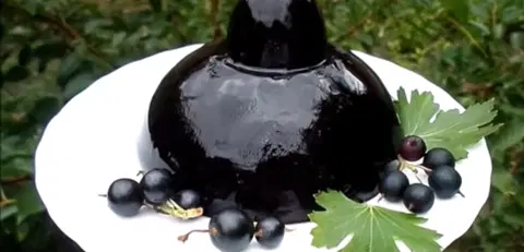 Желе из черной смородины