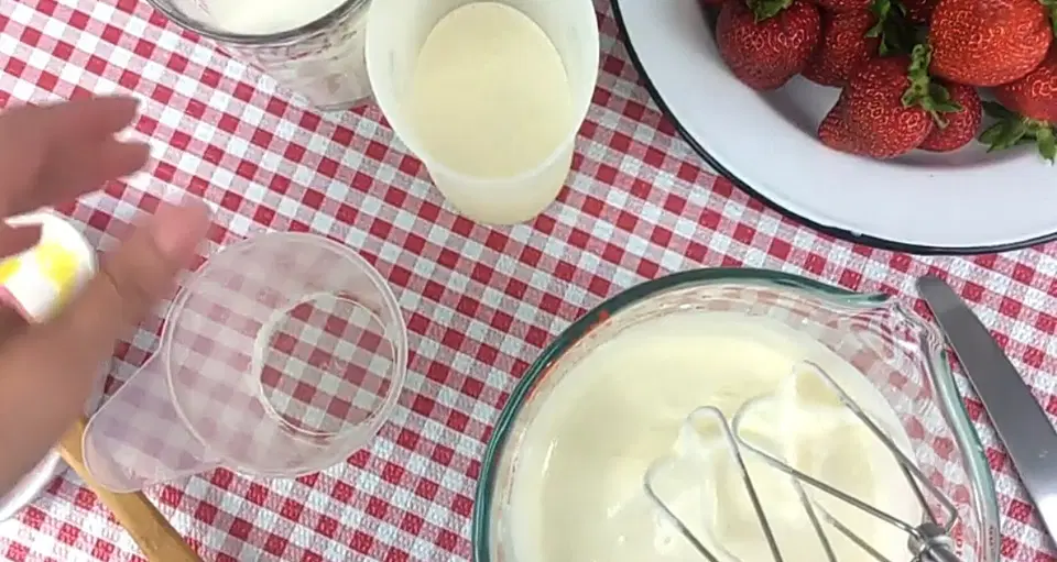 Мороженое в мороженице — шаг 1