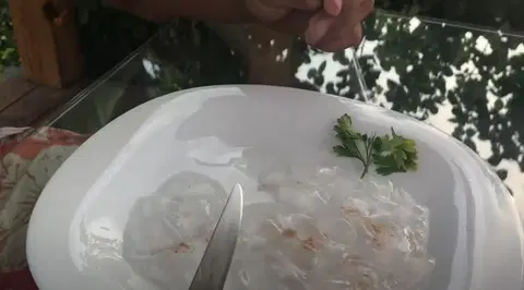 Жареная медуза