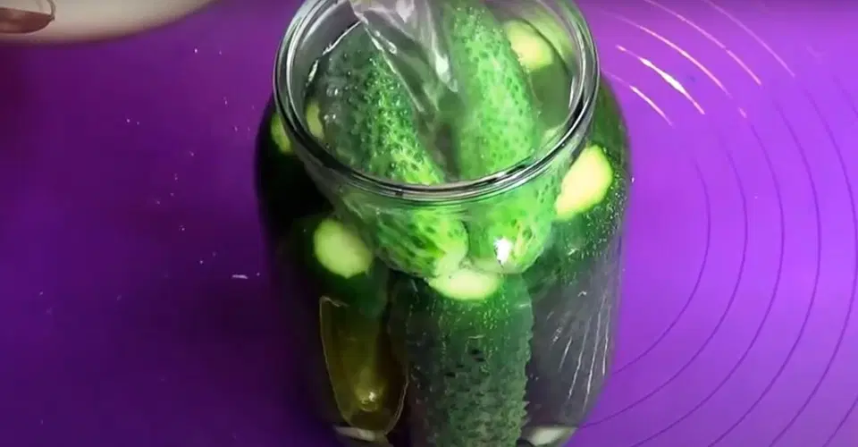 Огурцы, консервированные без уксуса — шаг 4