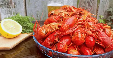 Вареные раки с укропом