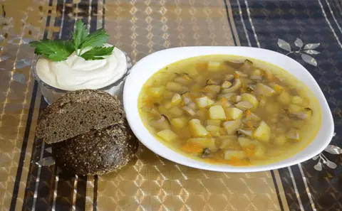 Суп из белых грибов