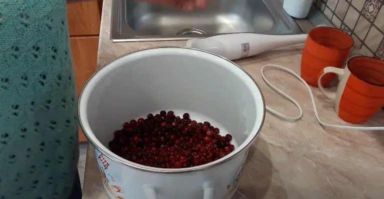 Морс брусничный — шаг 1