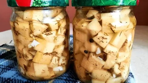 Кабачки как грибы на зиму