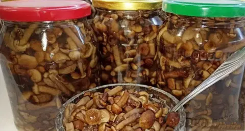 Маринованные опята