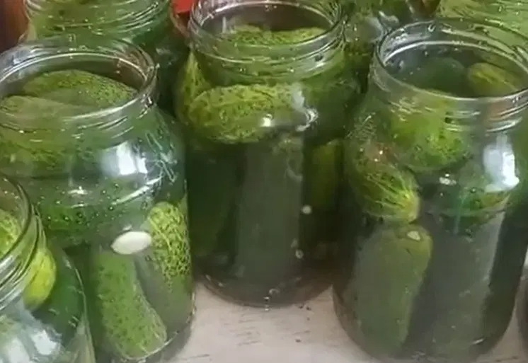 Засолка огурцов в крепком рассоле — шаг 2