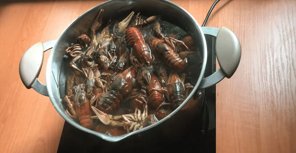 Вареные раки с укропом — шаг 2