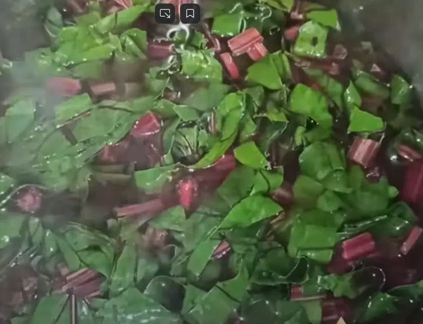 Маринованный мангольд на зиму — шаг 2