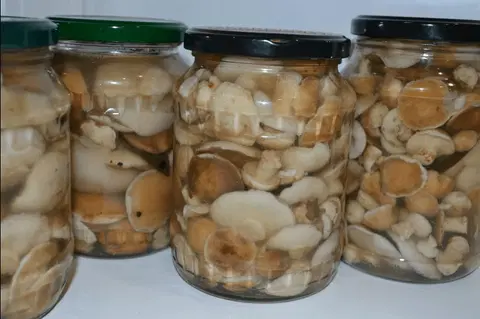 Маслята маринованные