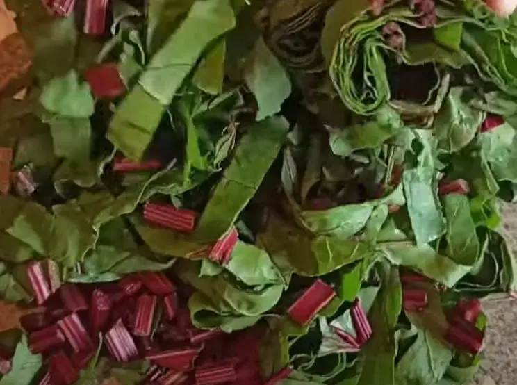 Маринованный мангольд на зиму — шаг 1
