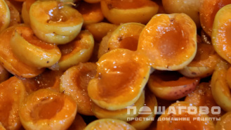 Фото приготовления рецепта: Пастила из абрикосов высушенная на солнце - шаг 1