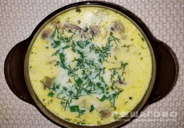 Сырный суп по-французски с курицей и грибами