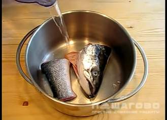 Фото приготовления рецепта: Финский суп с лососем и сливками - шаг 1