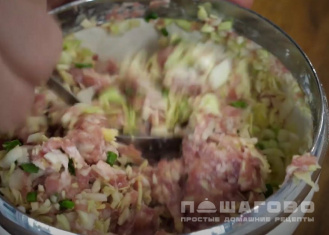 Фото приготовления рецепта: Японские пельмени гедза (Геза) с мясным фаршем - шаг 2