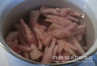 Фото приготовления рецепта: Холодец из свиных ножек и куриных лапок - шаг 1